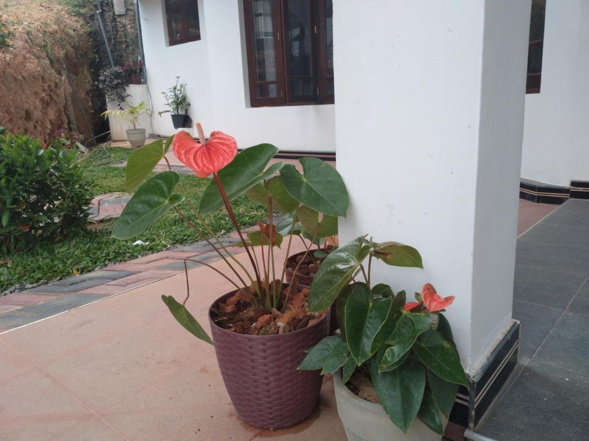 Holly House Homestay Элла Экстерьер фото